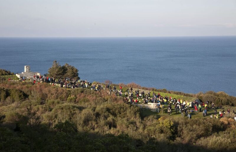 Canakkale: 6-Hour Gallipoli Tour With Lunch - Lunch at Local Restaurant