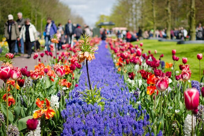 Canal Cruise & Keukenhof Ticket With Shuttle Bus in Amsterdam - Exploring Keukenhof Gardens