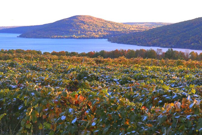 Canandaigua Wine Trail Experience - Meeting Point and Pickup