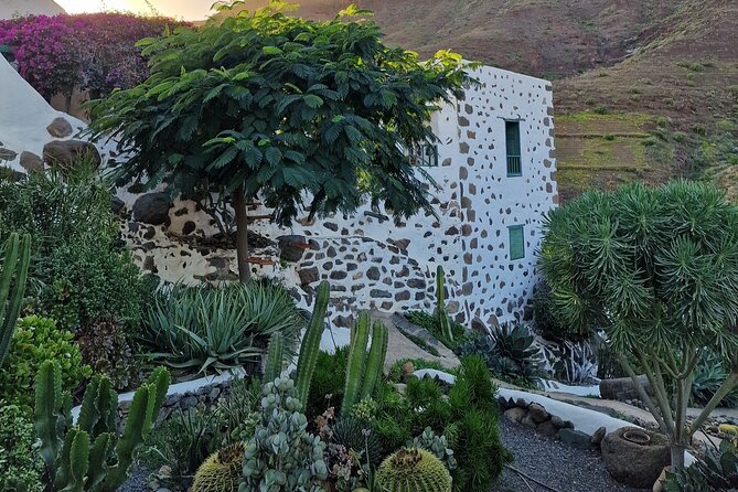Canarian Farmhouse in Mogan, Mango Farm and Vermouth Factory - What To Expect