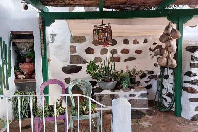 Canarian Farmhouse in Mogan, Mango Farm and Vermouth Factory - Mango Farm Tour