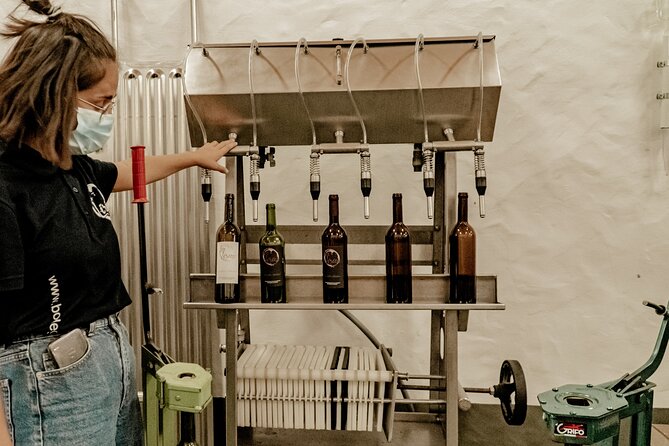 Canarian Wine Experience at Bodega Los Lirios - Production Process Insights