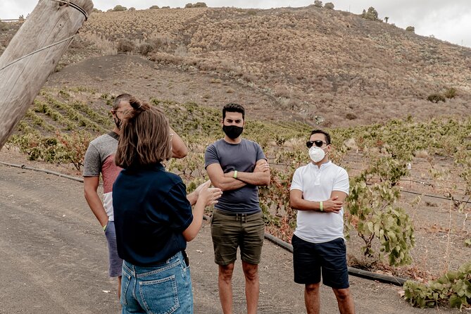 Canarian Wine Experience at Bodega Los Lirios - Breathtaking Volcano Vistas