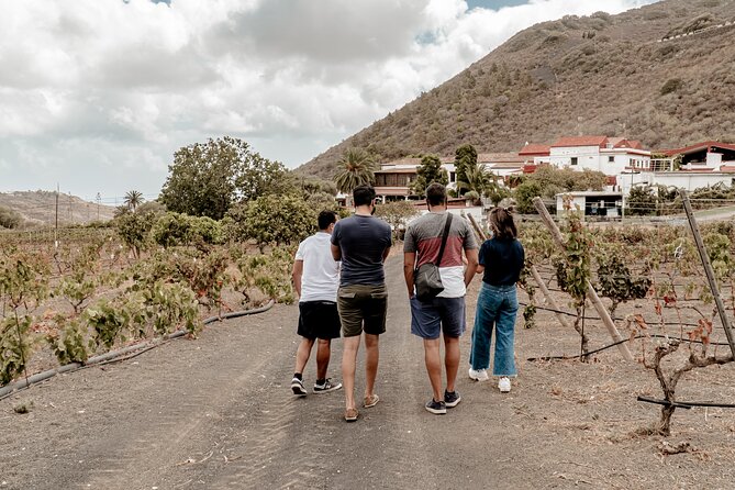 Canarian Wine Experience at Bodega Los Lirios - Group Size and Accessibility