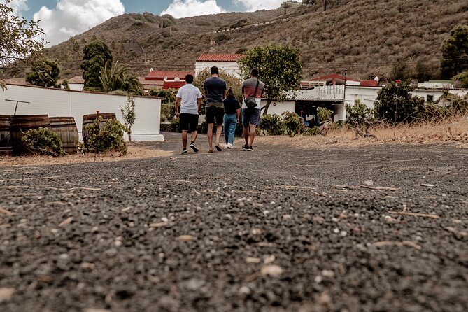 Canarian Wine Experience at Bodega Los Lirios - Cancellation and Policies
