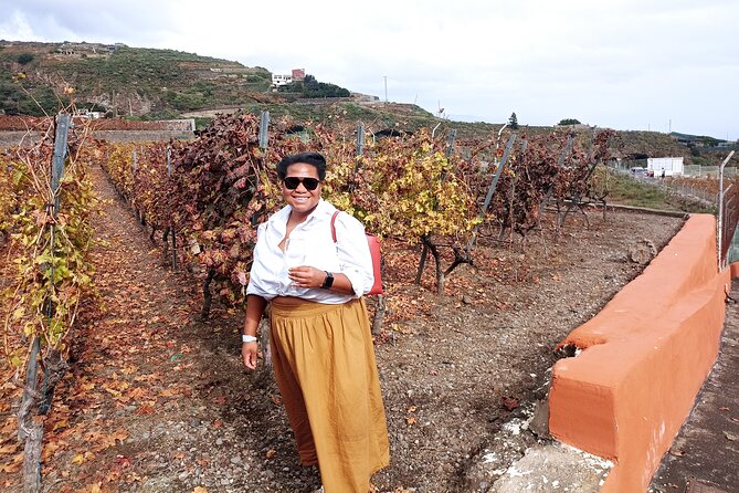 Canarian Wine Tasting Private Full-Day Tour and Aloe Vera Farm - Winery and Wine Tasting