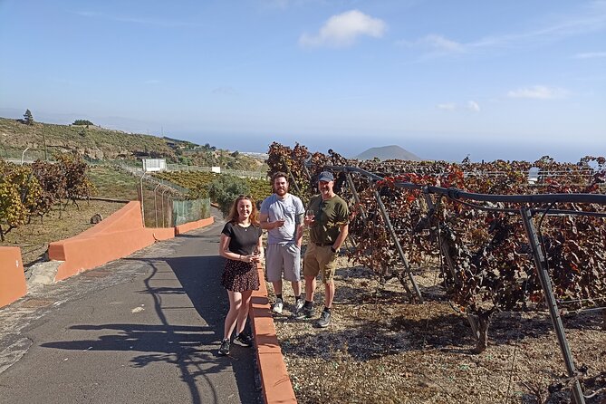 Canarian Wine Tasting Private Full-Day Tour and Aloe Vera Farm - Herques Gorge and Aboriginal Mummies