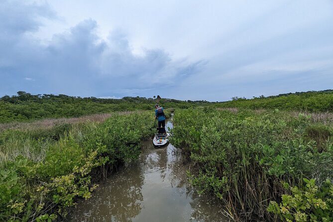 Canaveral National Seashore Wildlife Excursion - Key Points