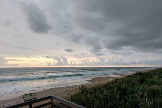 Canaveral National Seashore Wildlife Excursion - Scenic Highlights