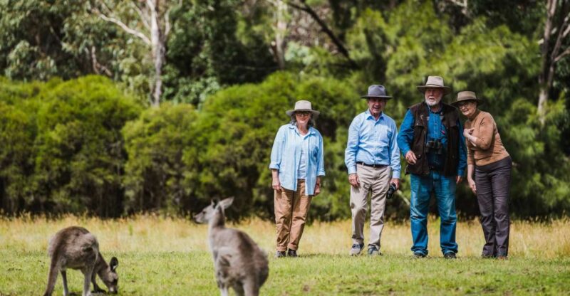 Canberra: Best of Wildlife Tour - Key Points