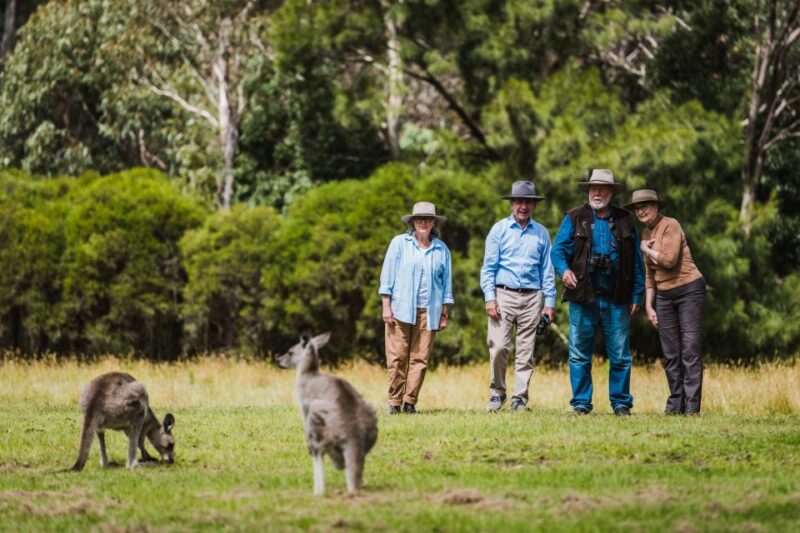 Canberra: Best of Wildlife Tour - Experience Highlights