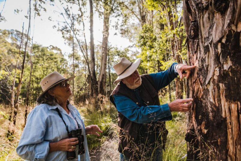 Canberra: Best of Wildlife Tour - Tour Details