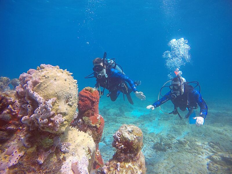 Cancun: 2 Days SDI Open Water Diver Certification - Inclusions