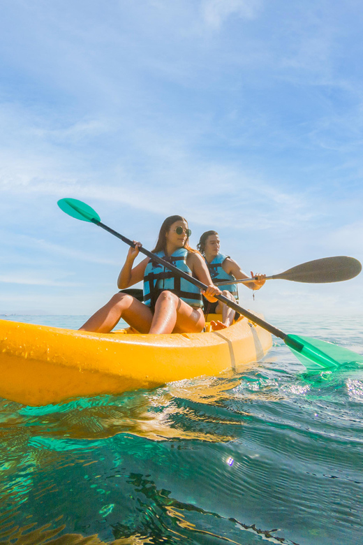 Cancun: 3 Day Package Family Activities - Ventura Park or Catamaran