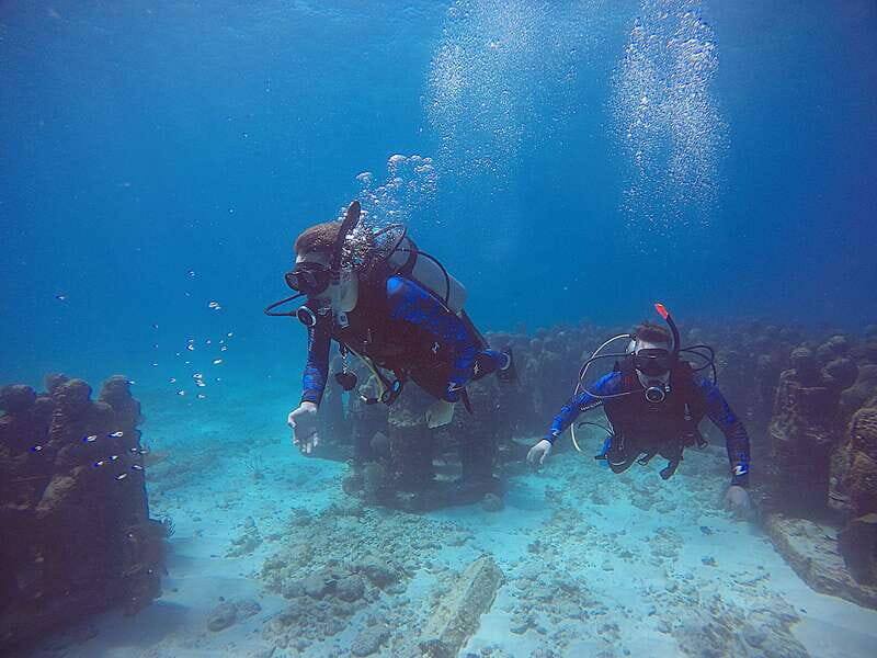 Cancun: 3 Days SDI Open Water Diver Certification - Introduction