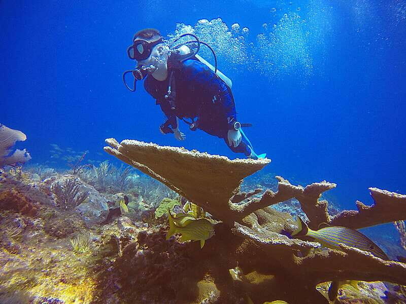 Cancun: 3 Days SDI Open Water Diver Certification - FAQs