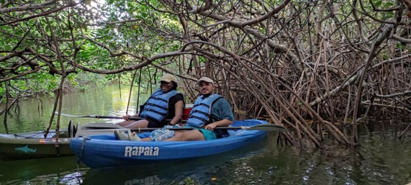 Cancun: 3-Hour Kayak Tour in Nichupte Lagoon - Experience Highlights