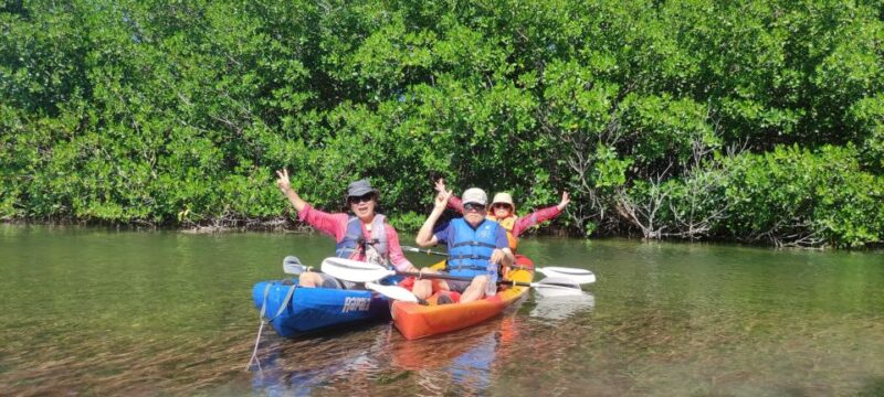 Cancun: 3-Hour Kayak Tour in Nichupte Lagoon - Included in the Tour