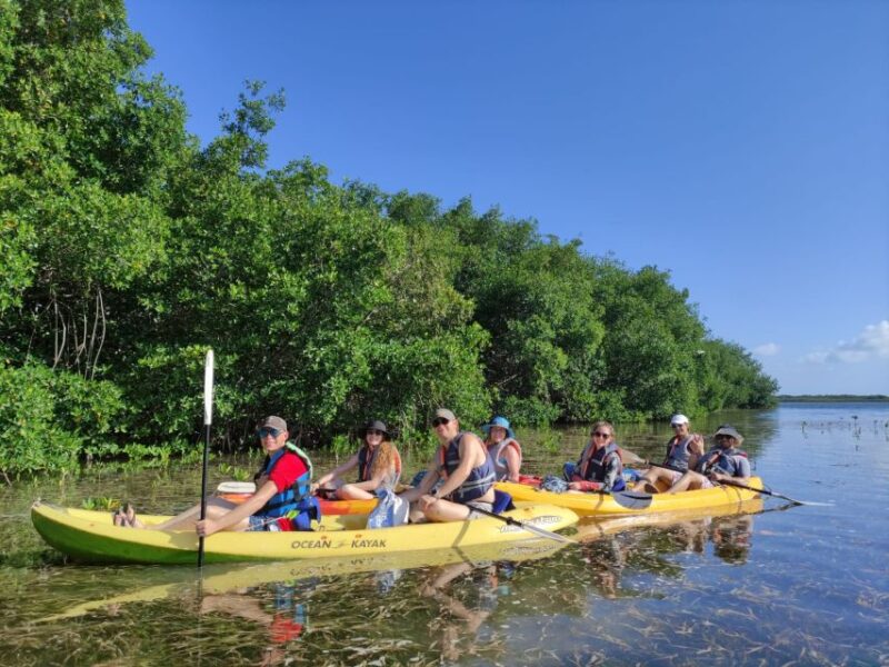Cancun: 3-Hour Kayak Tour in Nichupte Lagoon - Not Suitable For