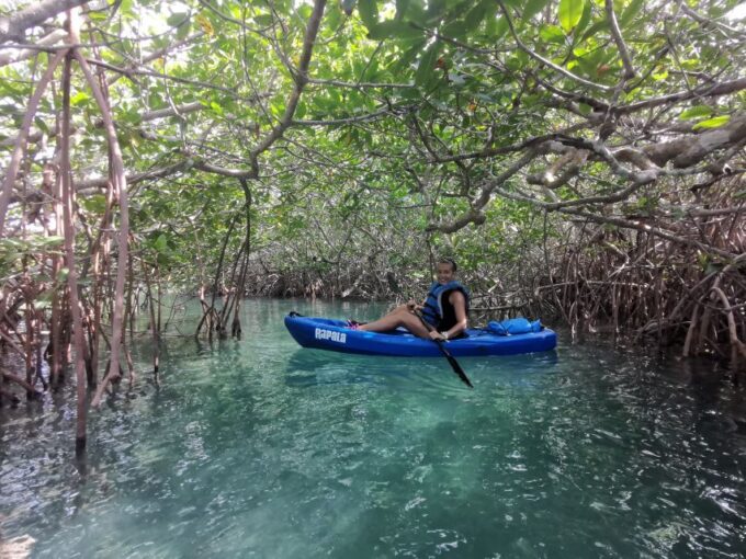 Cancun: 3-Hour Kayak Tour in Nichupte Lagoon - Prohibited on Tour