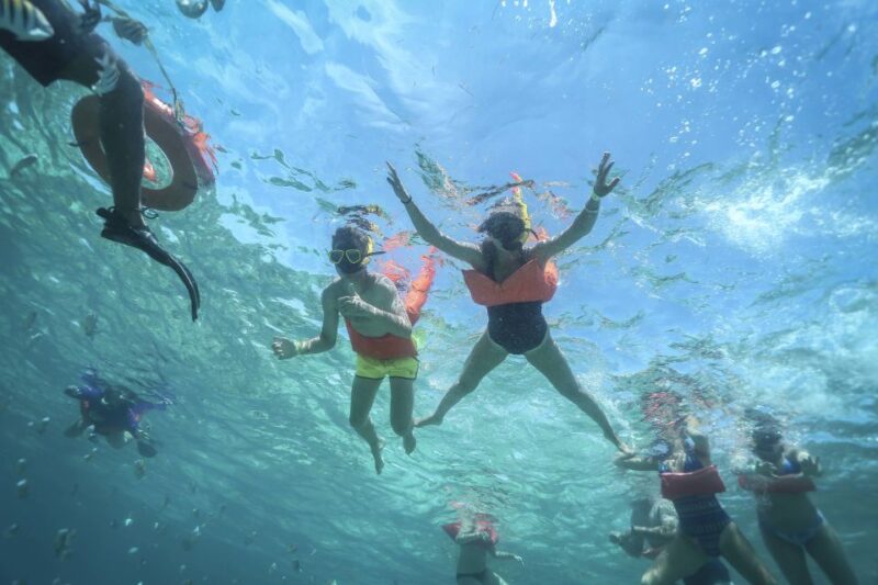 Cancun: 3-Hour Snorkel at Sunken Ship & Coral Reef - Itinerary Details
