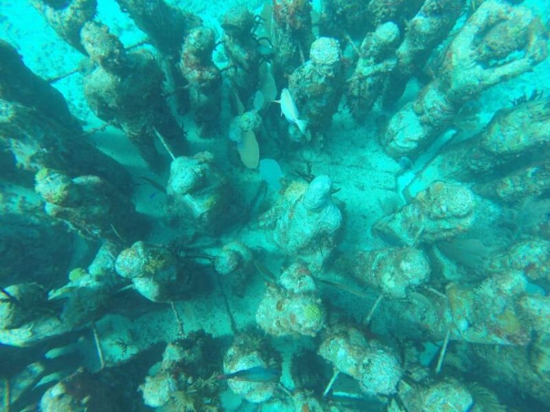 Cancun: 3-Hour Snorkel at Sunken Ship & Coral Reef - Snorkeling Experience