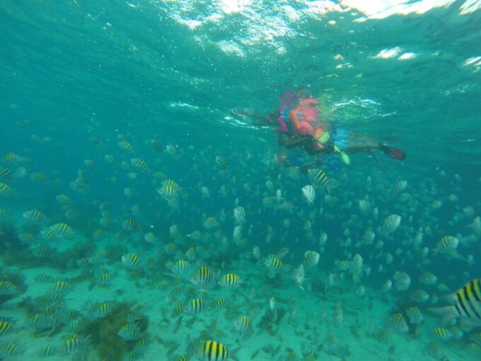 Cancun: 3-Hour Snorkel at Sunken Ship & Coral Reef - Customer Reviews