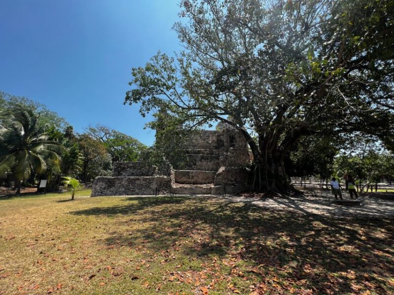 Cancun 3 in 1 Snorkeling, Parasailing, With Meco Ruins Free - Key Points