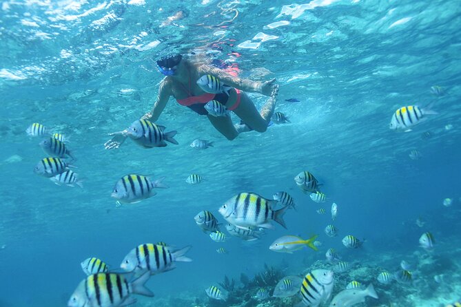 Cancun 4 Hour Private Yacht Experience With Lunch and Open Bar Onboard - Frequently Asked Questions