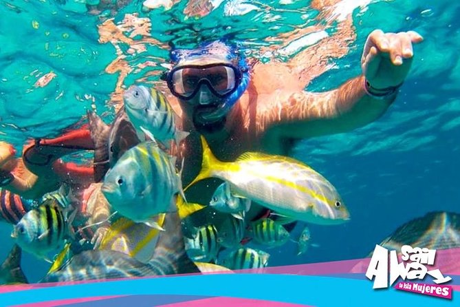 Cancun Adults Only Party Cruise to Isla Mujeres With Open Bar - Meeting Point and Schedule Details