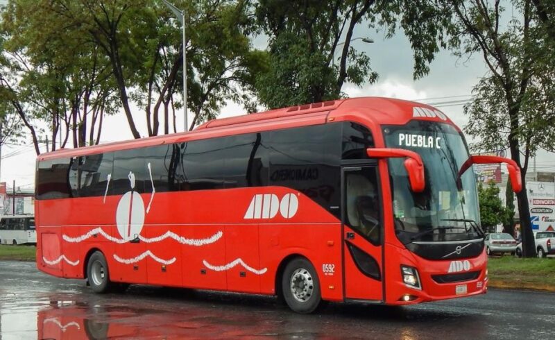 Cancun Airport: Bus Ticket To/From Playa Del Carmen - Onboard Amenities and Facilities