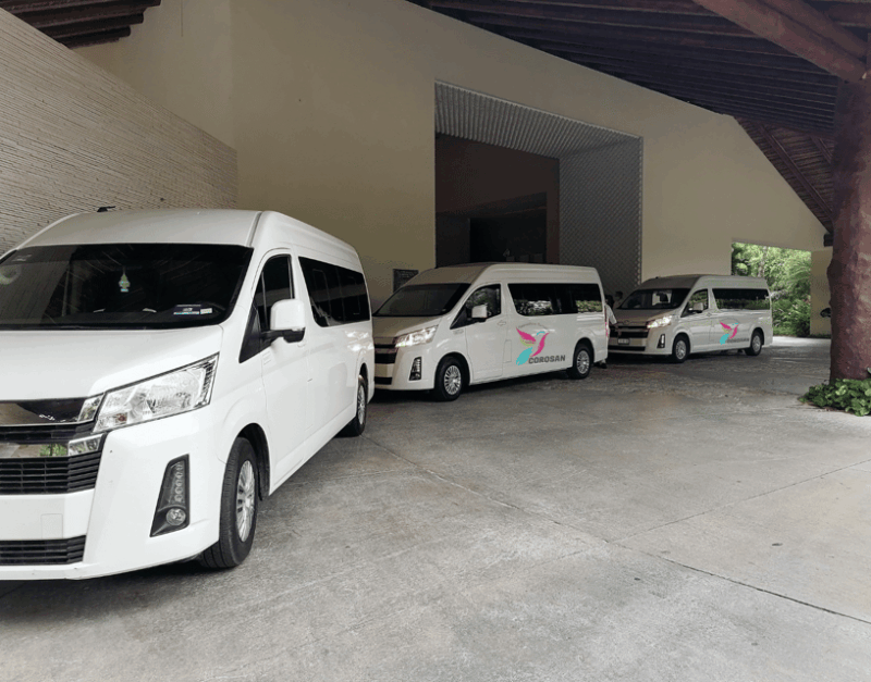 Cancun Airport: Private VIP Transportation To Tulum Centro - Flexible Pickup Locations