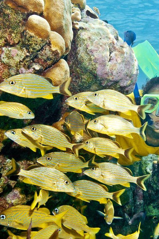 Cancun: ATV & Catamaran Adventure - Included Features