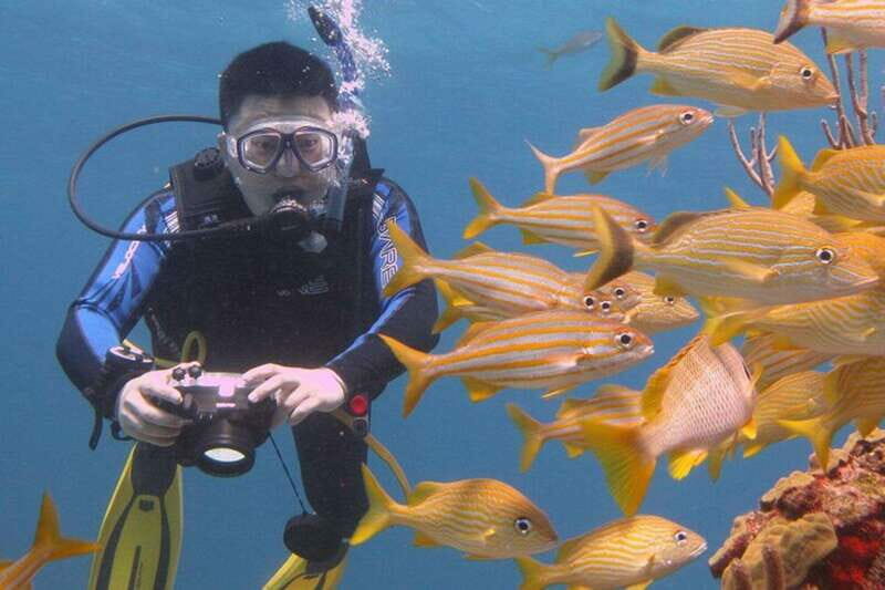 Cancun: Beginner Scuba Diving at Underwater Museum - FAQ