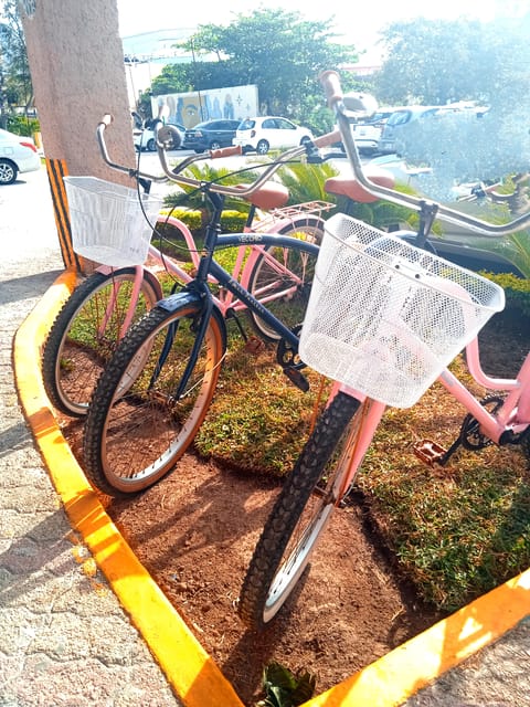 Cancún: Bicycle Rental - Key Points