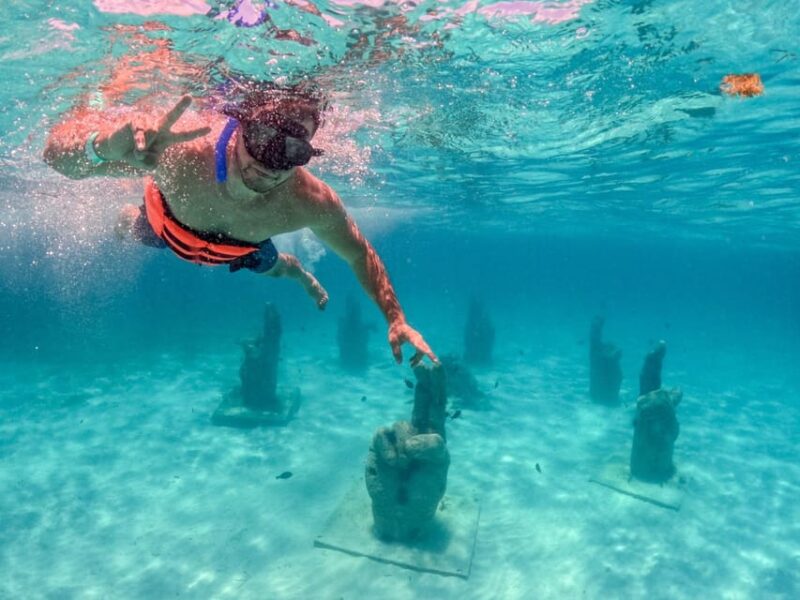 Cancun: Catamaran Trip to Isla Mujeres, Snorkel, & Open Bar - Key Points