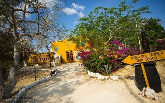 Cancun: Chichen Itza, Valladolid and Hubiku Cenote Day-Trip - Customer Feedback and Ratings
