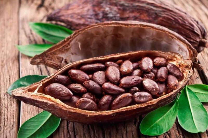 Cancún: Chocolate Making Class and Tasting With Chef - Mayan Chocolate History