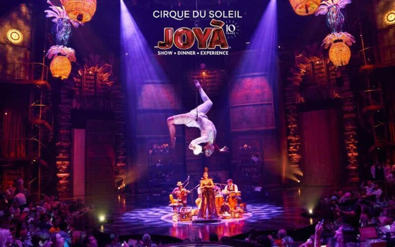 Cancún: Cirque du Soleil JOYÀ Show Ticket - Final Thoughts