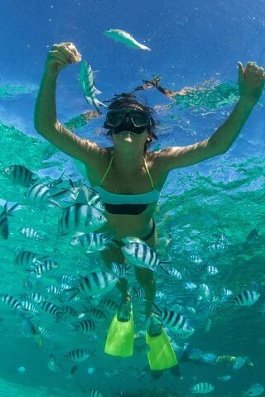 Cancun: Coba & Cenotes + Isla Mujeres Catamaran Combo - Playa Del Carmen Stroll