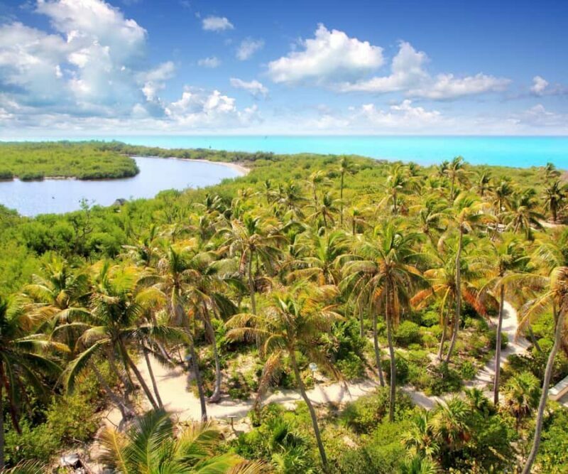 Cancun: Contoy Island & Isla Mujeres with snorkeling and lunch on the beach - What to Expect on the Tour