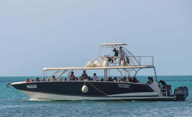 Cancun: Contoy Island & Isla Mujeres with snorkeling and lunch on the beach - The Sum Up