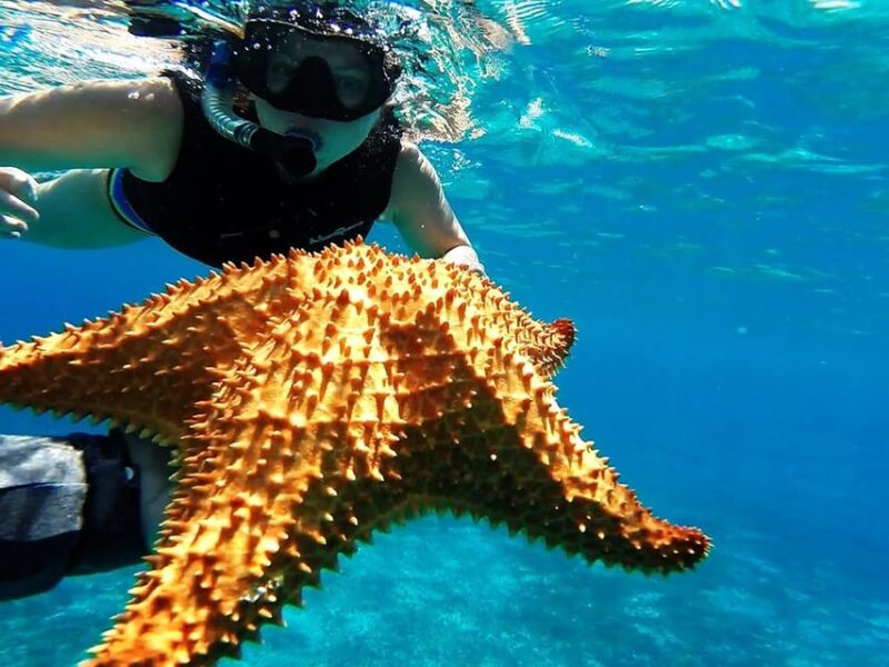 Cancun: Cozumel Island Catamaran, El Cielo, Cielito Open Bar - Key Points