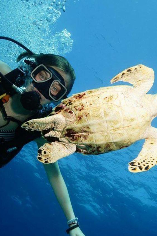 Cancun Discover Scuba Diver Dsd) - Key Points