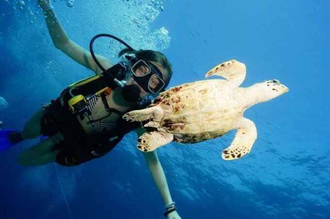 Cancun Discover Scuba Diver Dsd) - Frequently Asked Questions