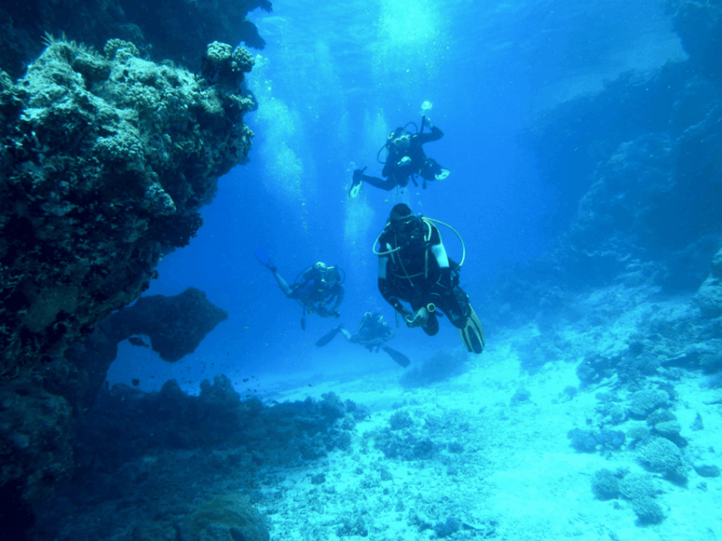 Cancun: Discover Scuba Diving PADI - Marine Life and Environment