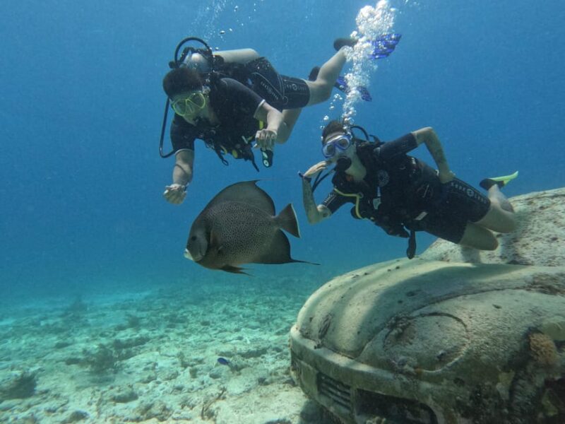 Cancun: Dive in the Underwater Museum of Art and Arrecife - Key Points