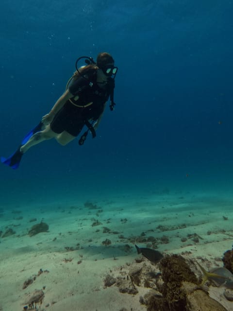 Cancun: Dive in the Underwater Museum of Art and Arrecife - Pricing and Discounts