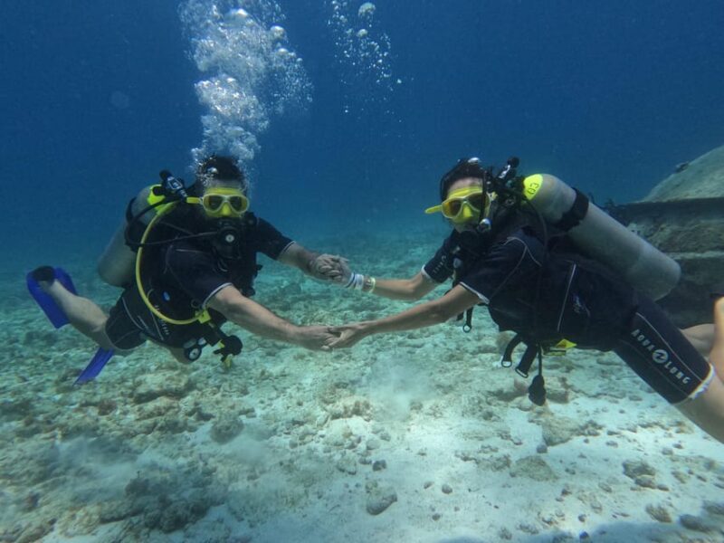 Cancun: Dive in the Underwater Museum of Art and Arrecife - Participant Eligibility