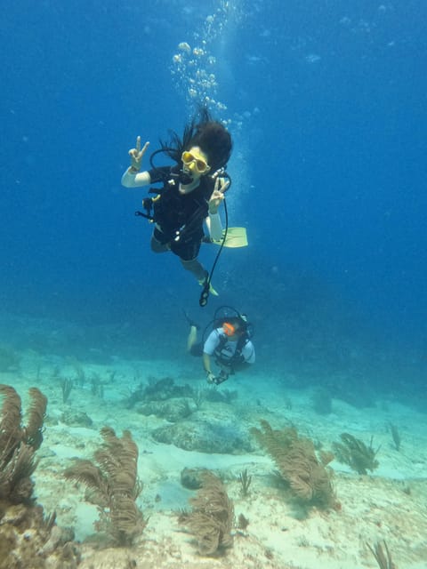 Cancun: Dive in the Underwater Museum of Art and Arrecife - Cancellation and Refund Policy